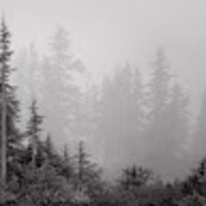 Meet your Posher, Elyse